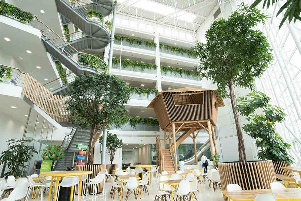 OVO Energy Offices