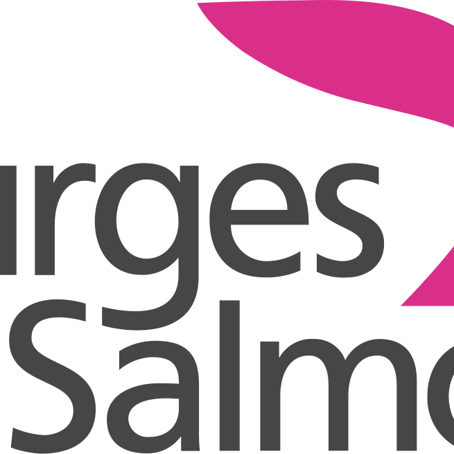 Image Showing Burges Salmon Logo