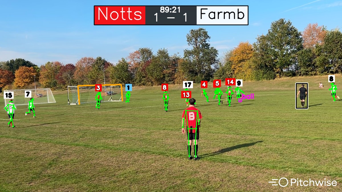 Image Showing Pitchwise in Action